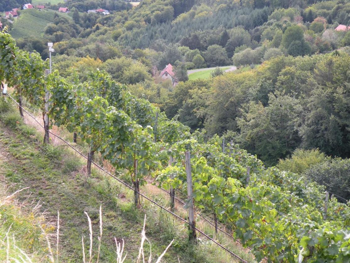 Weingut Albert, Familie Cramer Bed and Breakfast Kitzeck im Sausal Eksteriør billede