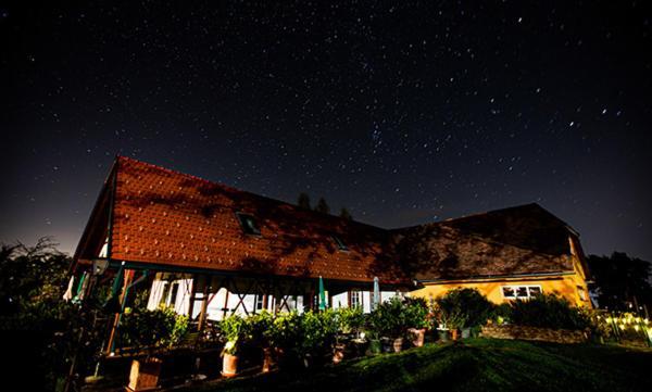 Weingut Albert, Familie Cramer Bed and Breakfast Kitzeck im Sausal Eksteriør billede