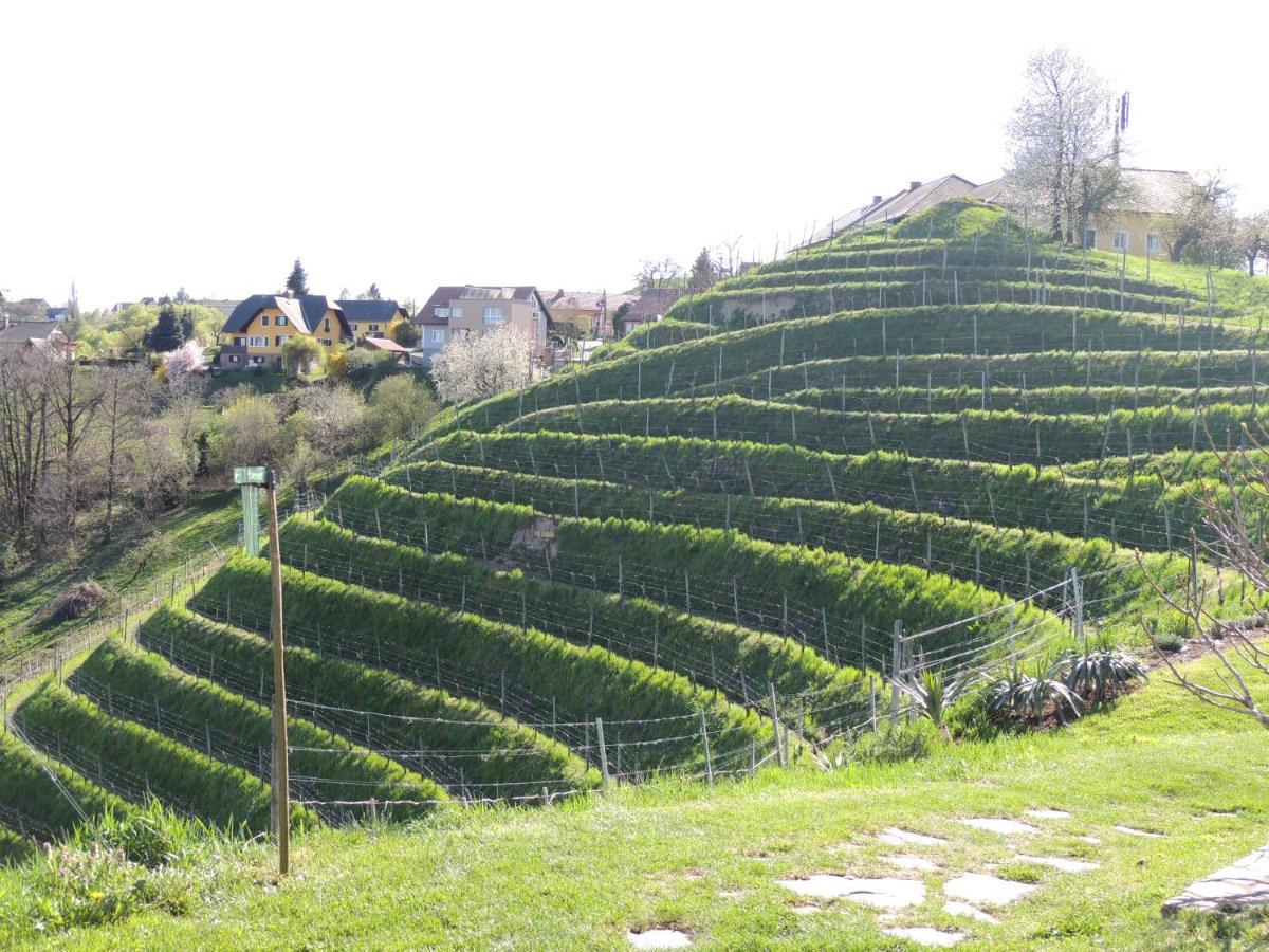 Weingut Albert, Familie Cramer Bed and Breakfast Kitzeck im Sausal Eksteriør billede