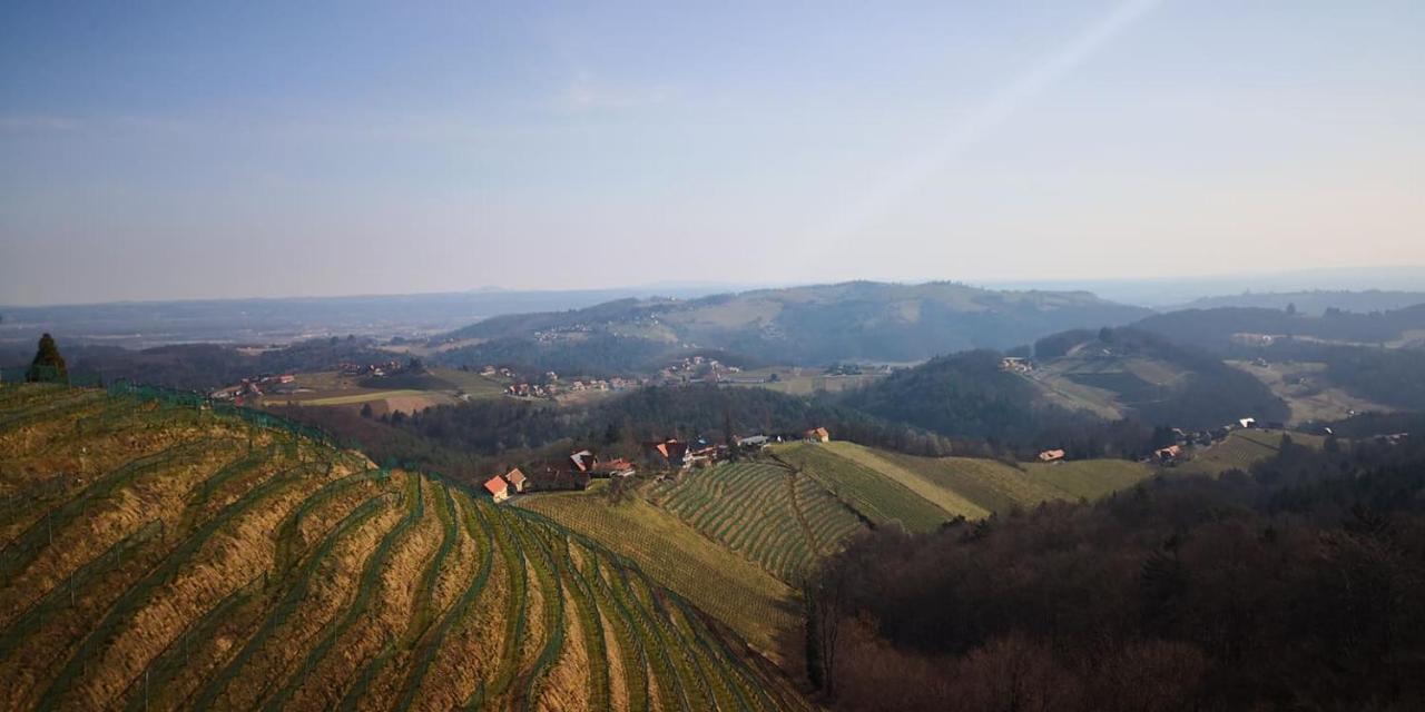 Weingut Albert, Familie Cramer Bed and Breakfast Kitzeck im Sausal Eksteriør billede