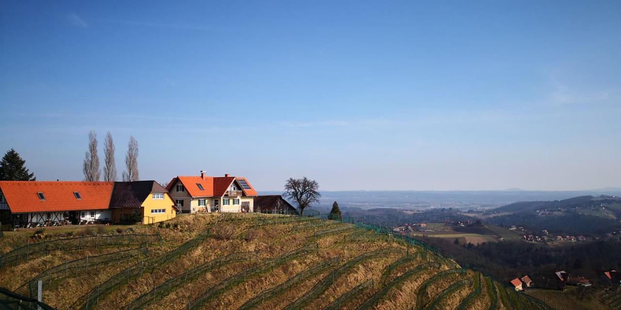 Weingut Albert, Familie Cramer Bed and Breakfast Kitzeck im Sausal Eksteriør billede