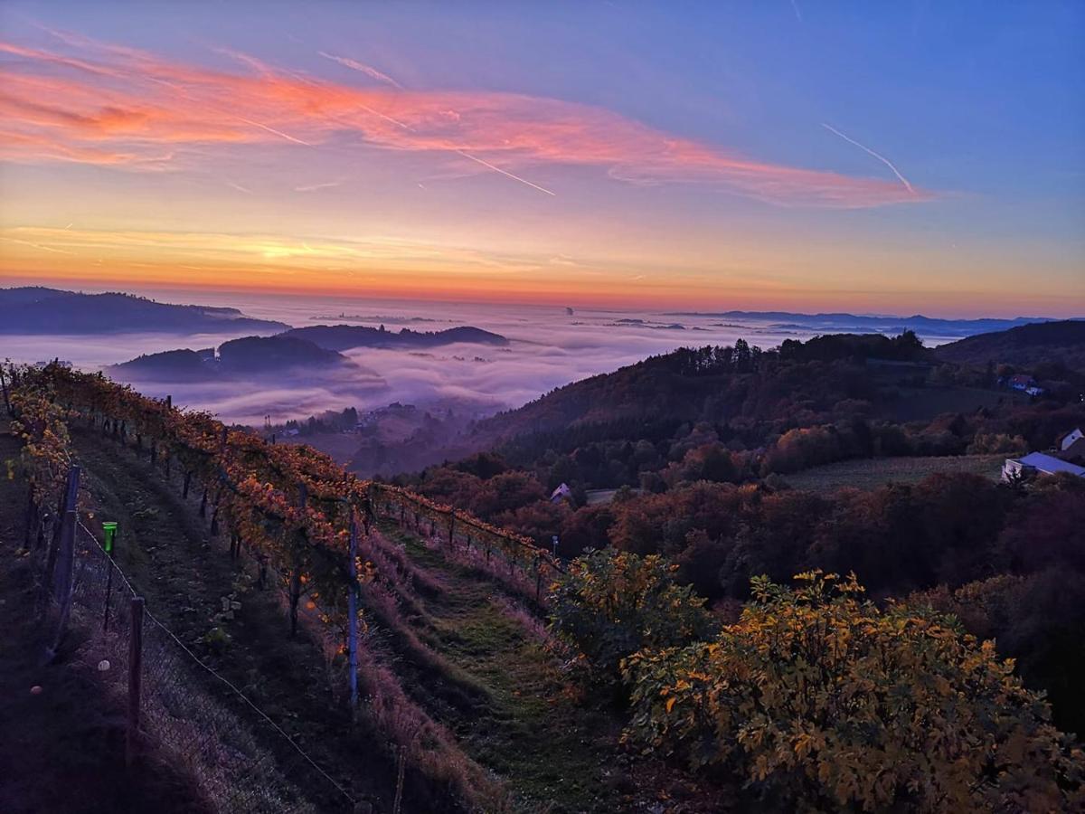 Weingut Albert, Familie Cramer Bed and Breakfast Kitzeck im Sausal Eksteriør billede