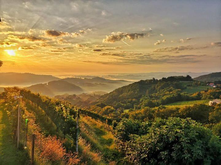 Weingut Albert, Familie Cramer Bed and Breakfast Kitzeck im Sausal Eksteriør billede